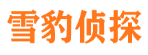 松阳市婚姻出轨调查